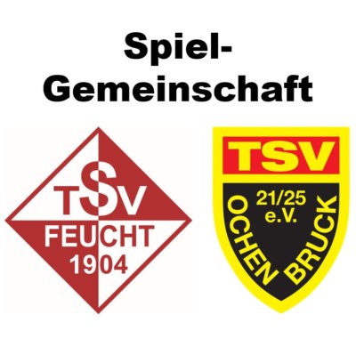 Volleyball – Logo_SG Feucht-Ochenbruck